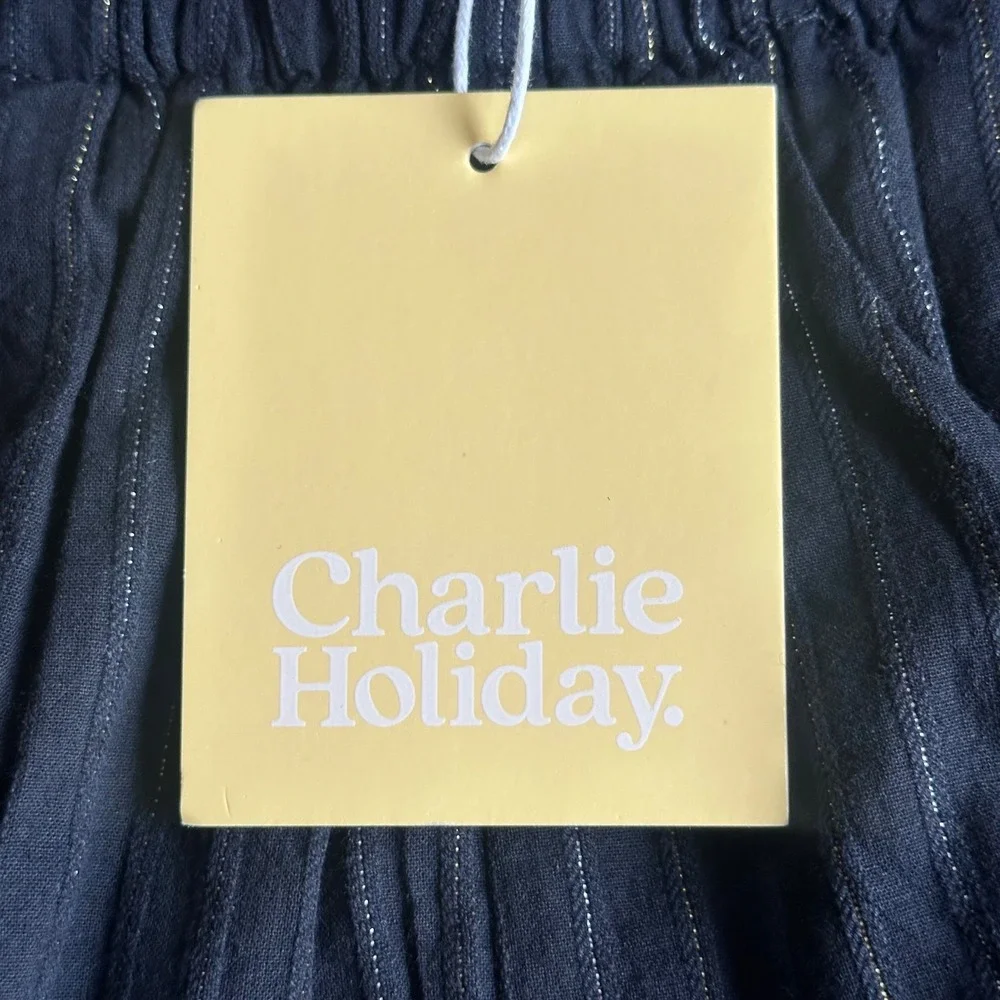 Charlie Holiday Madonna Shorts Black Lurex Pinstripe Paperbag Waist Size 2 NEW